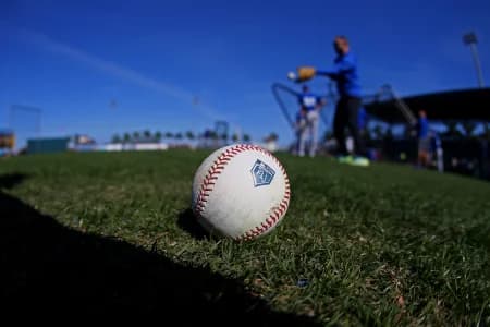 A view of an official Rawlings baseball with the Florida Spring Training logo during batting practice prior to the game of the Toronto Blue Jays against the Pittsburgh Pirates at LECOM Park.